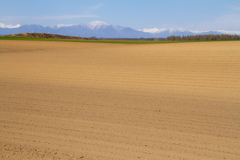 このひろい　だいちに　いっぱい