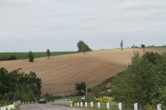 イエローマジックからの２