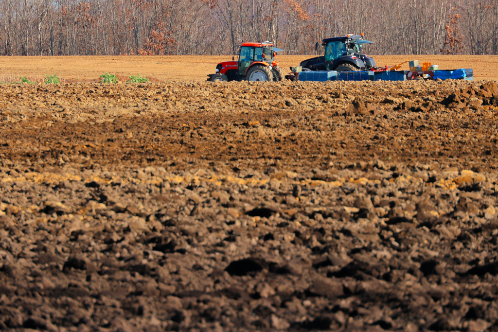 つちから　はじまる
