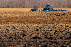 つちから　はじまる