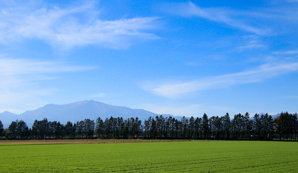 あきの　はたけと　やま