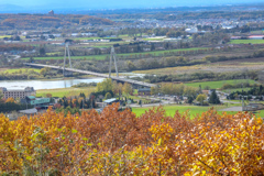 あき・あき・あき