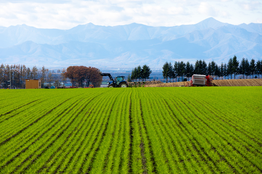 がんばりました。　ありがとう。