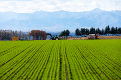 がんばりました。　ありがとう。