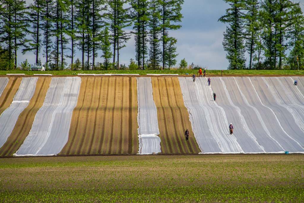 がんばってね。