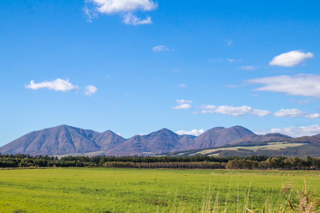 かぜがふいた　あきのごご