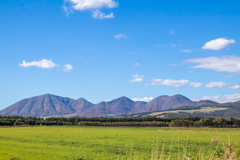 かぜがふいた　あきのごご