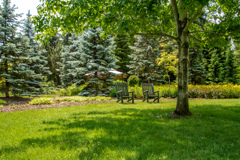 みどりの　なかで