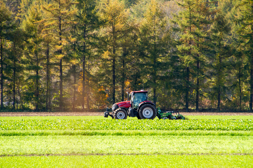 あと　ひとふんばり