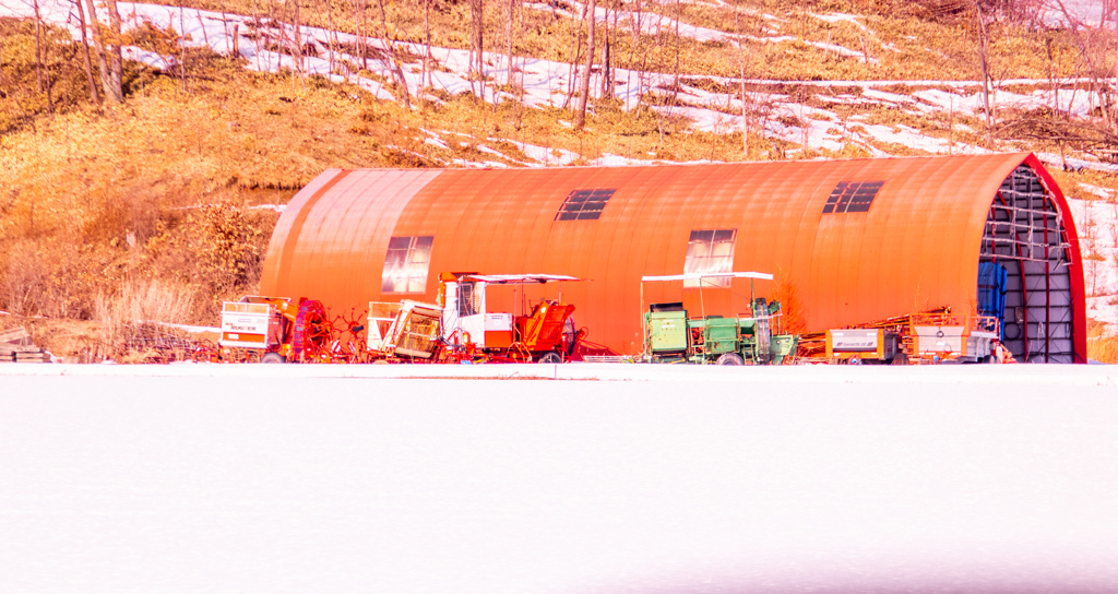 はるに　むけて