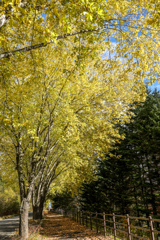 あき・あき・あき