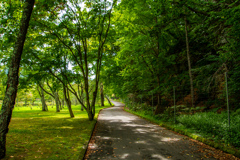 みどりの　こうえん