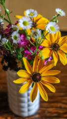 いまを　いきる