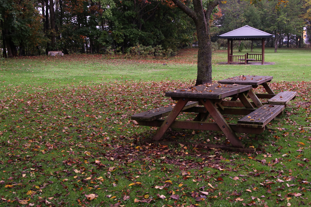 ちょっと寂しい公園