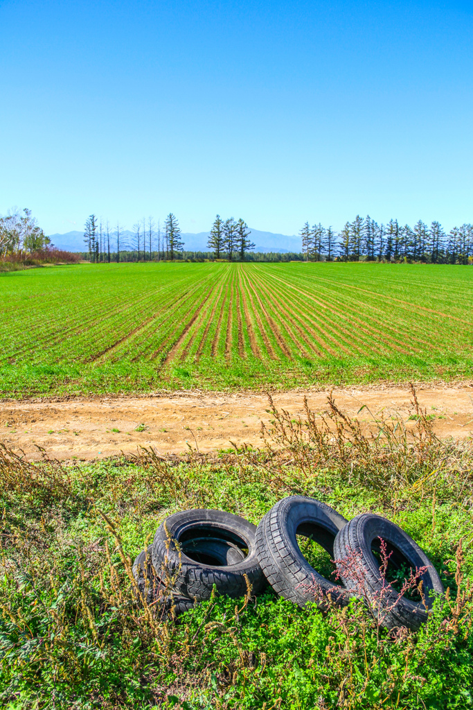 よくみる　ふうけい