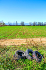 よくみる　ふうけい