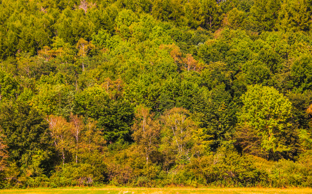 ちょっと　あき