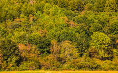 ちょっと　あき