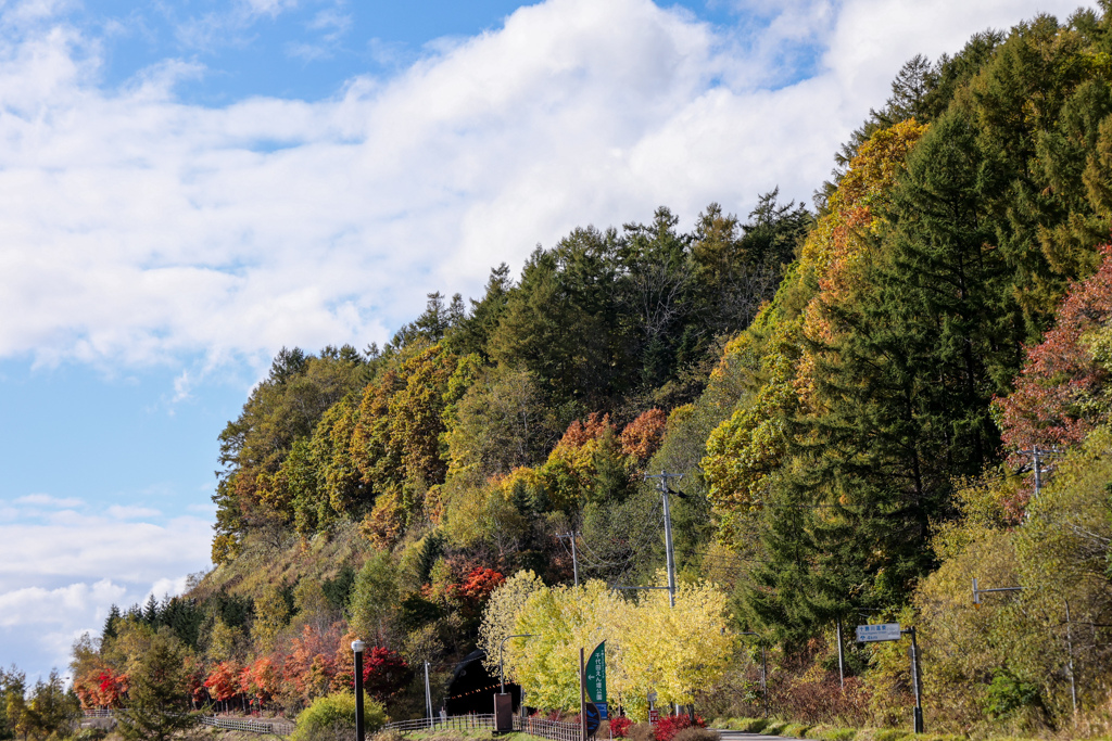 あき・あき・あき