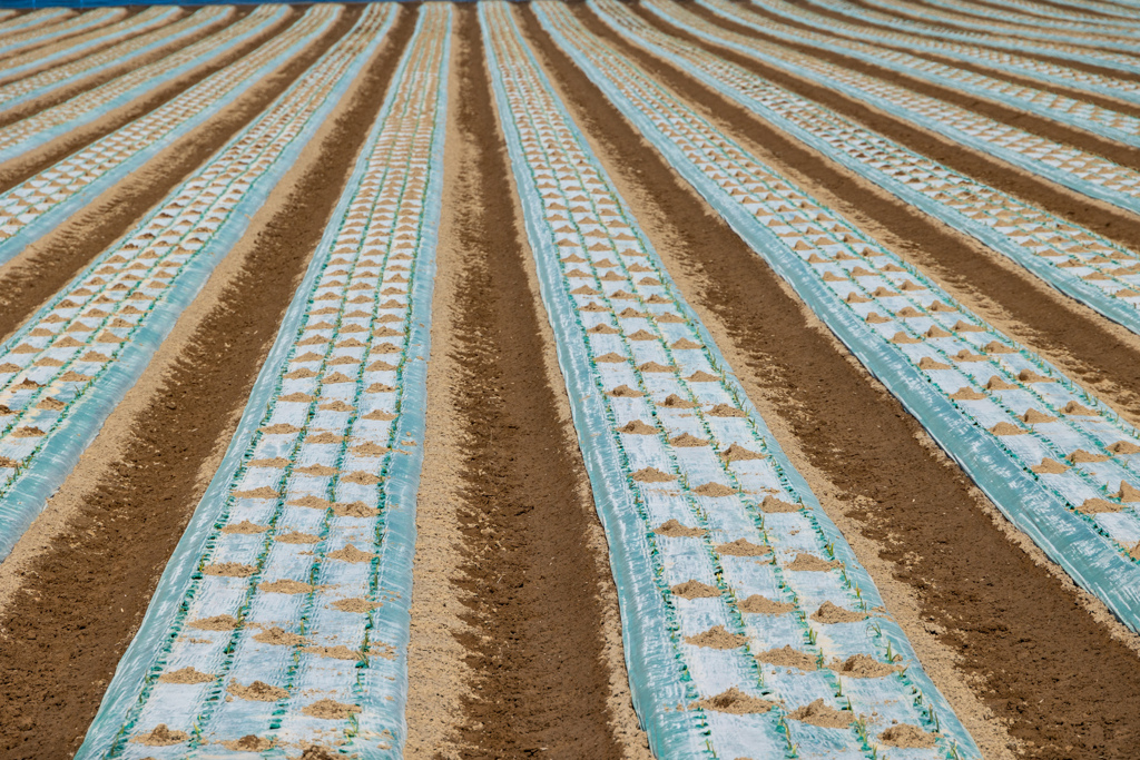 もう　はじまったよ。