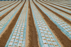 もう　はじまったよ。