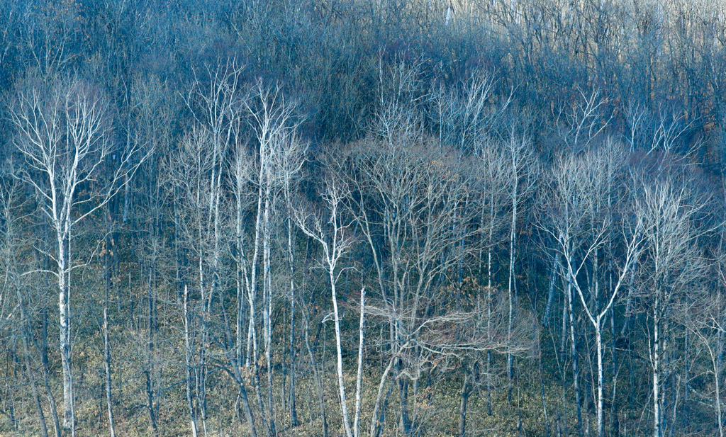 あたたくなぁれ