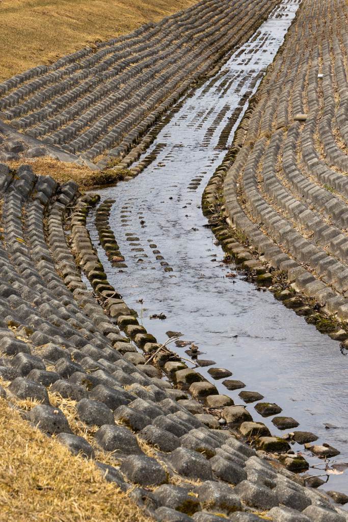 なにげない　ふうけい