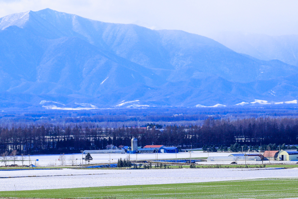 ふゆ　とうらい