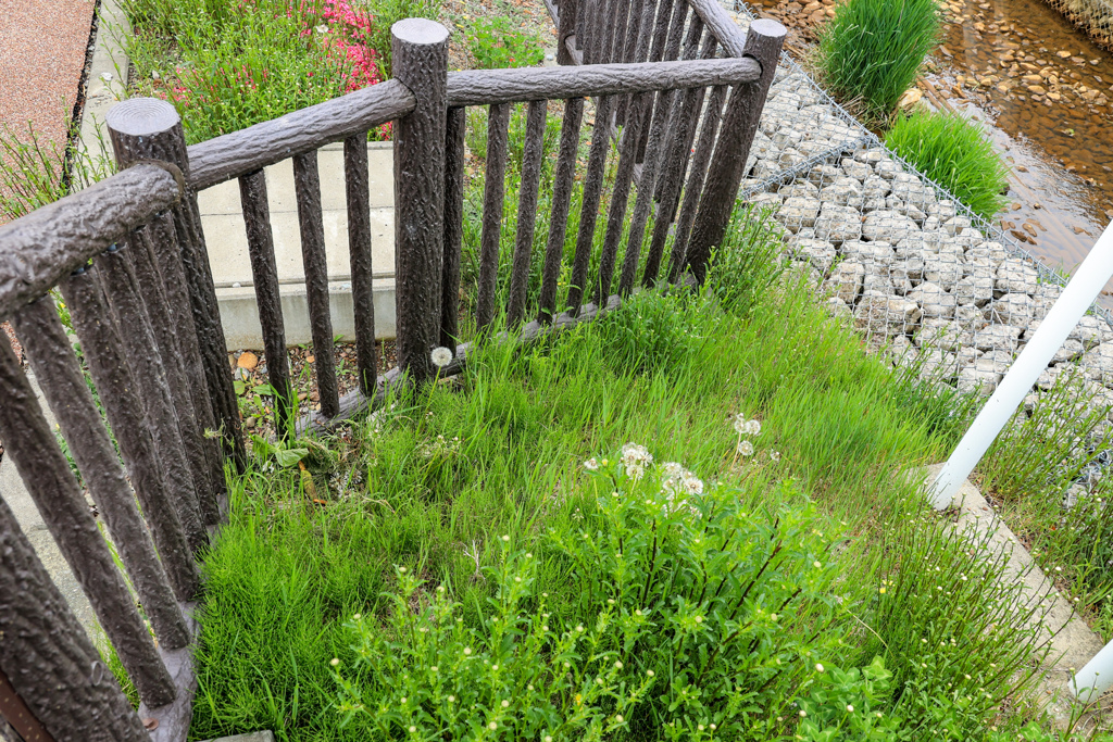 なにげない　まいにち