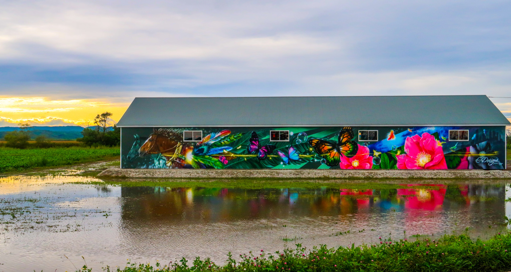 ばんば　と　はまなす