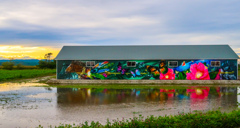 ばんば　と　はまなす