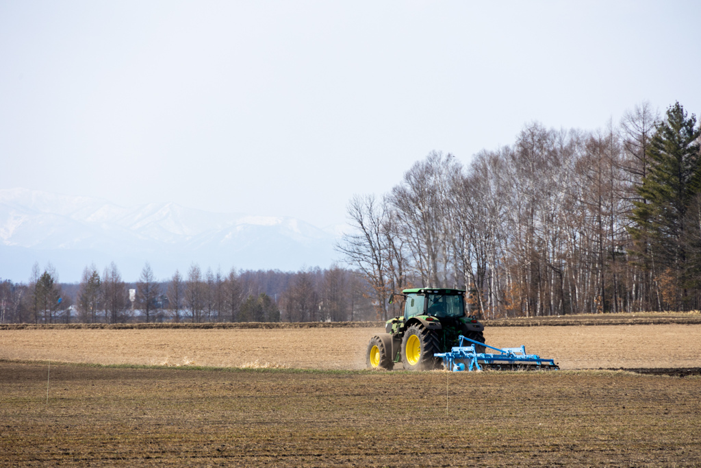 ごご　からの　しごと