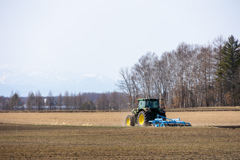 ごご　からの　しごと