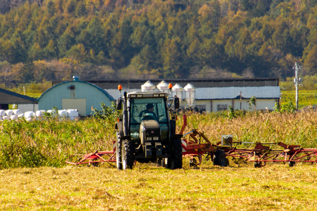 ことし　さいごですね。