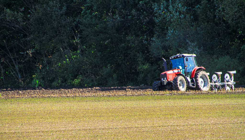 がんばれ　がんばれ