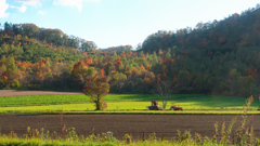 あきの　はたけ