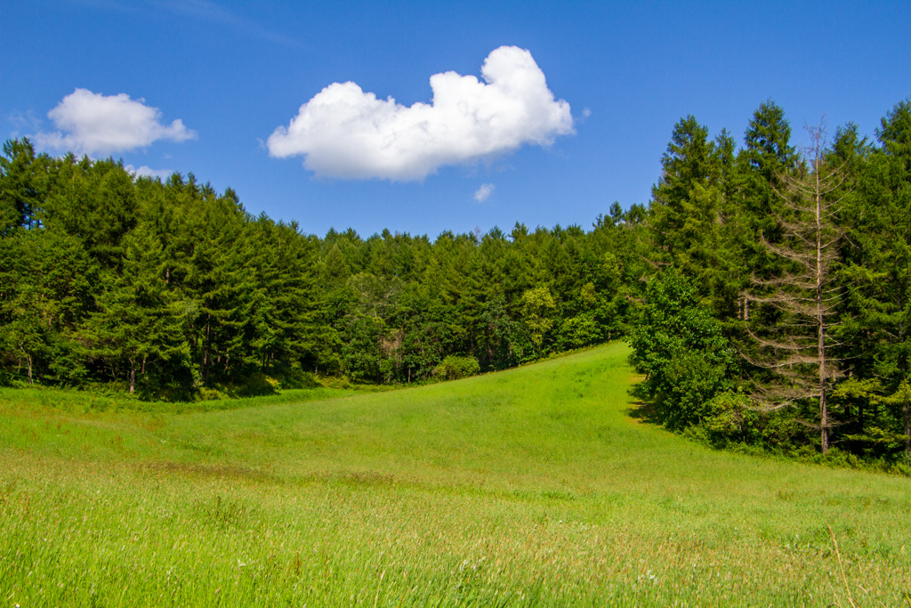 なつの　おわり