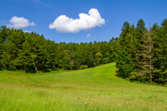 なつの　おわり