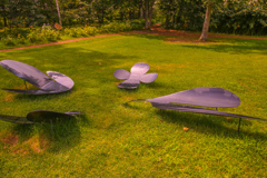 ろっかの　もり