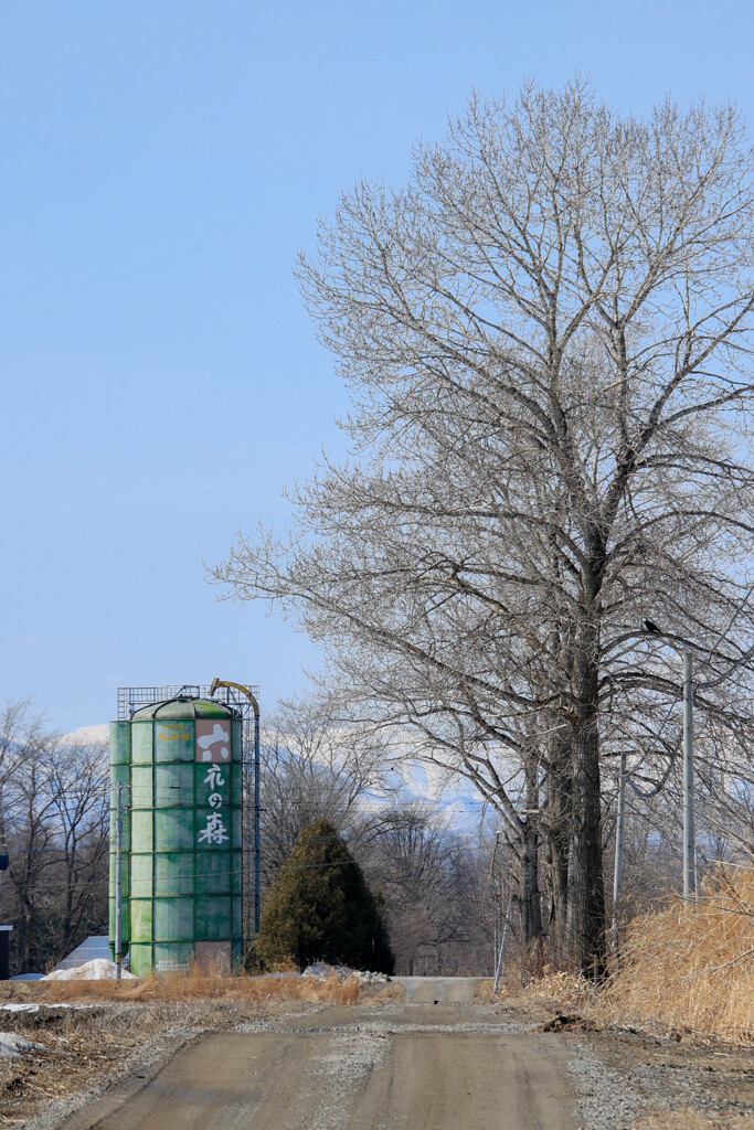 ことしも　いきますよ