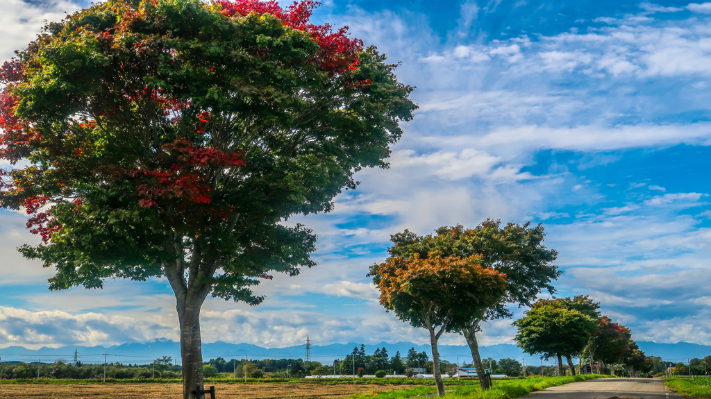 これから　あかくなる