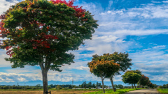 これから　あかくなる