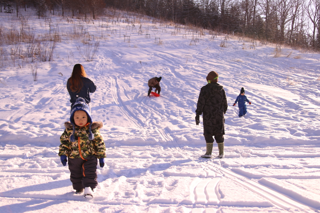 ぼく　そり　きらい