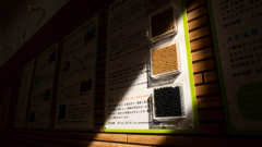 ふむふむ　なるほど