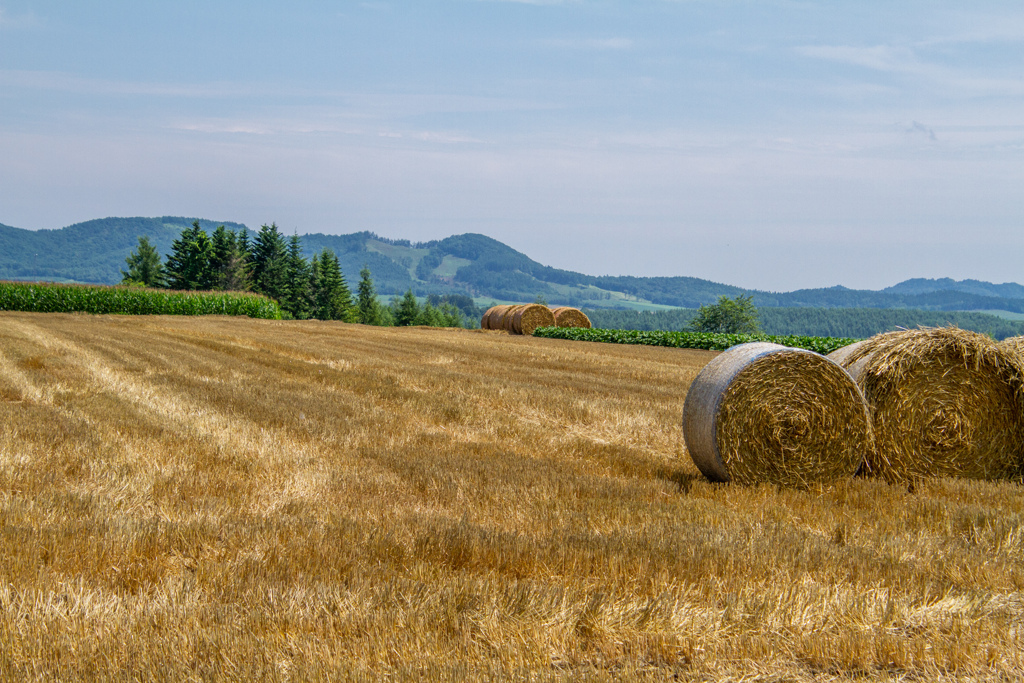 またまた　ぐるぐる