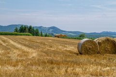 またまた　ぐるぐる