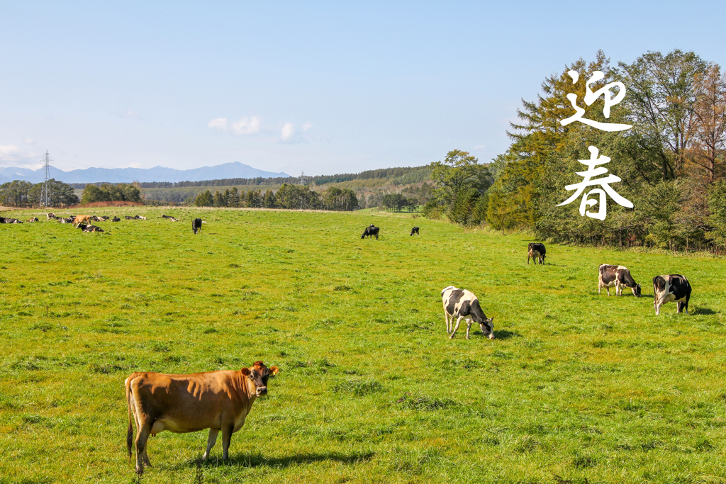 今年もよろしくお願いします。