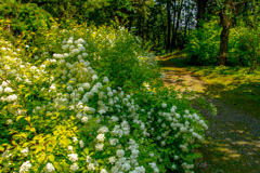 みちの　とちゅう