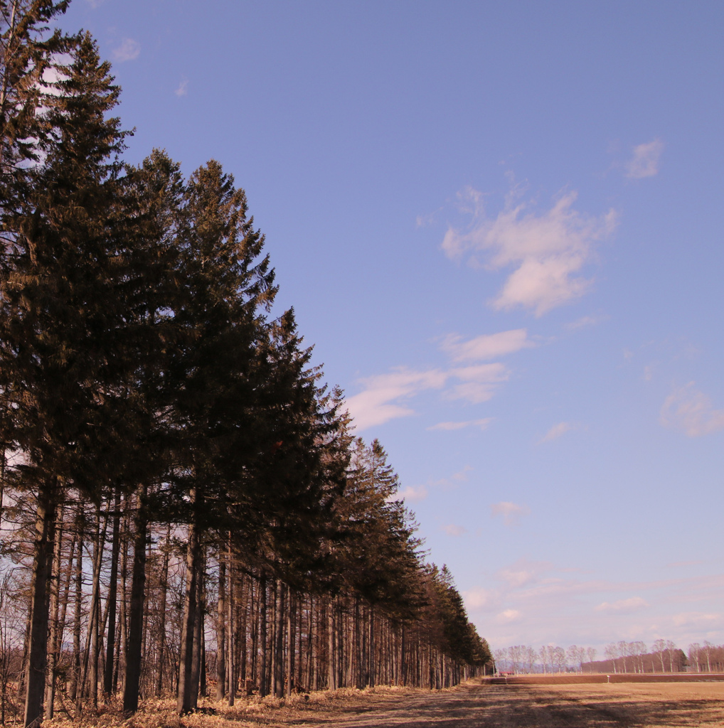 いなかの　ふうけい