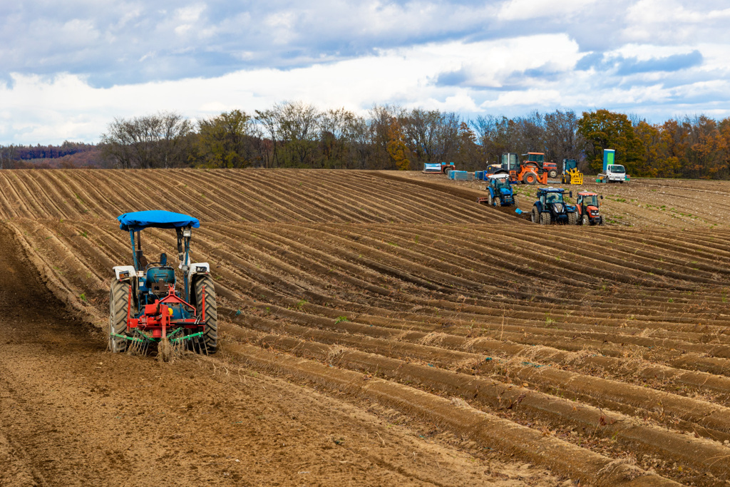 がんばりました。　ありがとう。